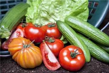 Von Artischocke bis Zucchini!