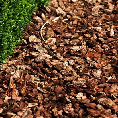 Der Mulch macht’s