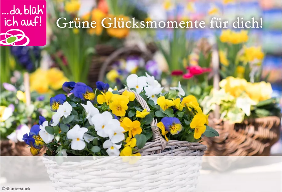 individualisieren und direkt per Mail erhalten!